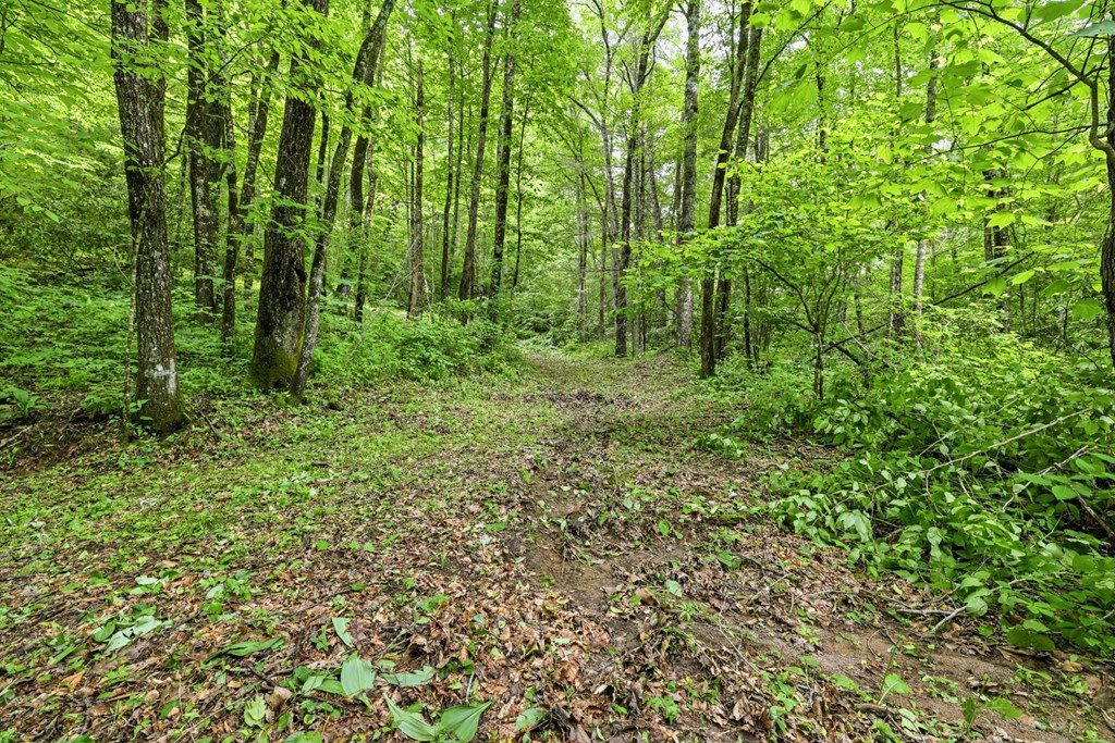 Lot 2 Rainbow Falls Road LOT 2