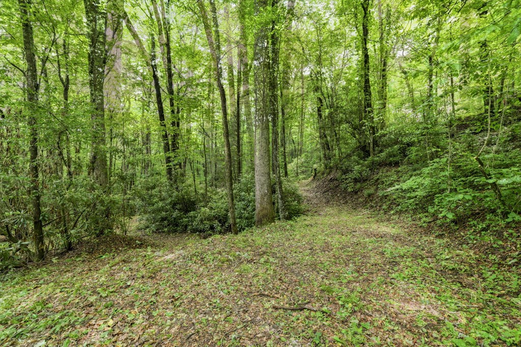 Lot 2 Rainbow Falls Road LOT 2