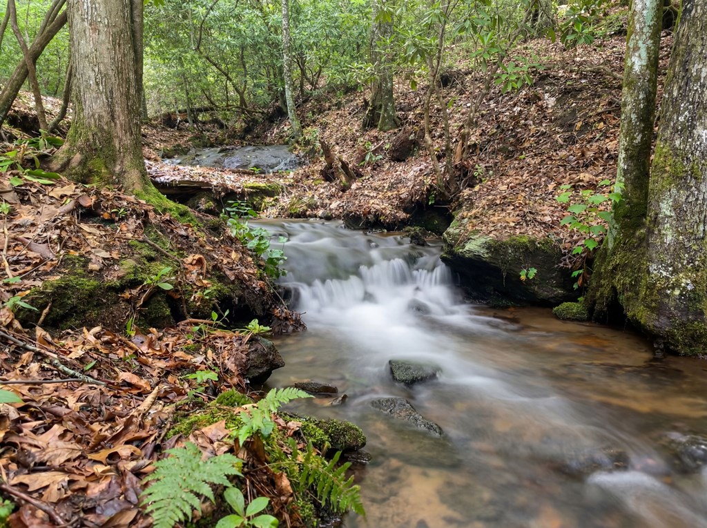 Lot 2 Rainbow Falls Road LOT 2