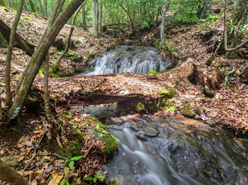 Lot 2 Rainbow Falls Road LOT 2