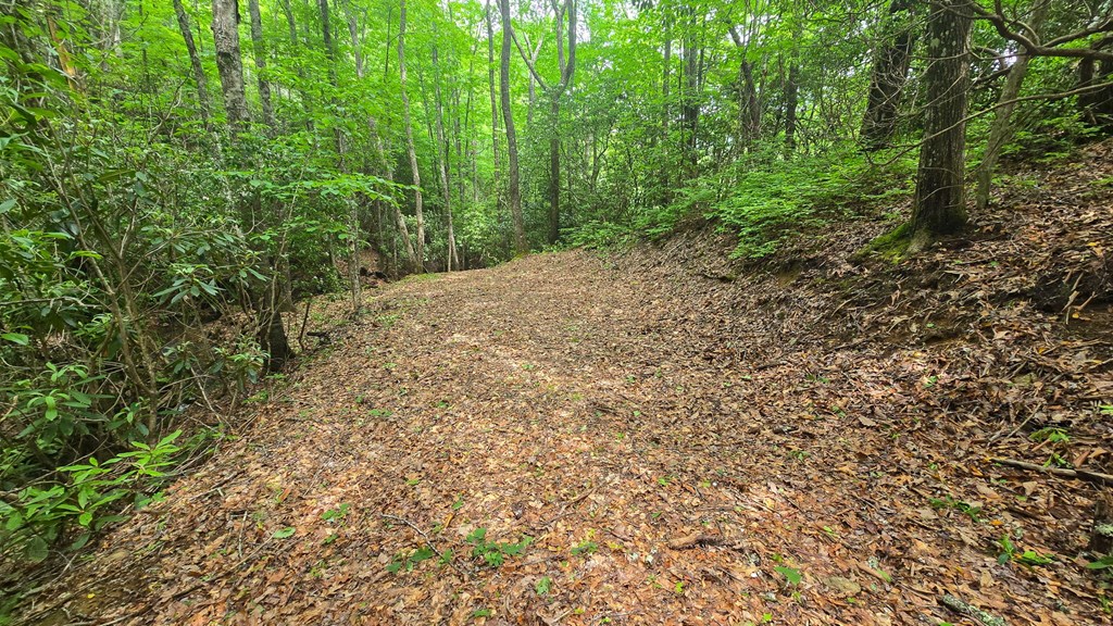 Lot 2 Rainbow Falls Road LOT 2