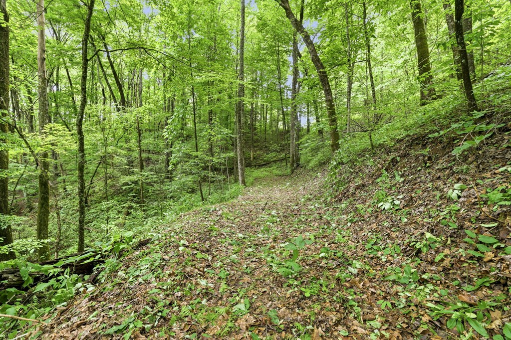 Lot 2 Rainbow Falls Road LOT 2
