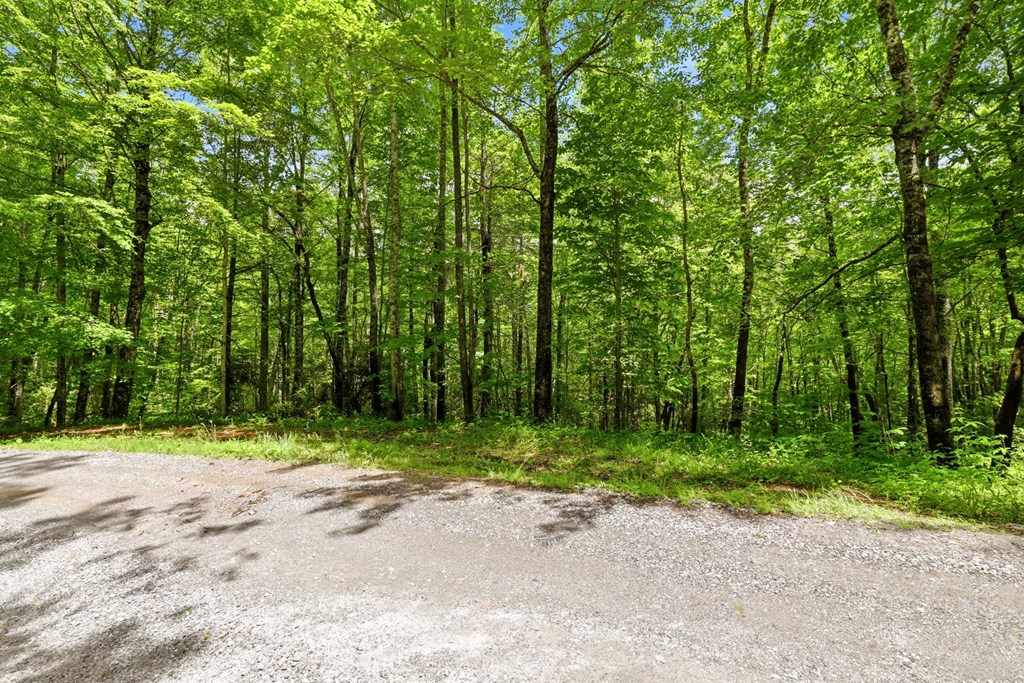 Lot 2 Rainbow Falls Road LOT 2