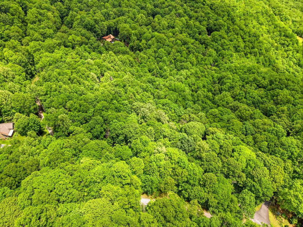 Lot 2 Rainbow Falls Road LOT 2