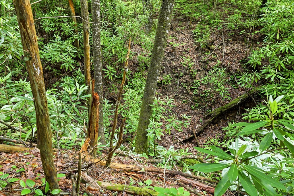 Lot 2 Rainbow Falls Road LOT 2