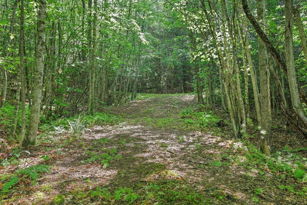 570 SUGARFORK RD