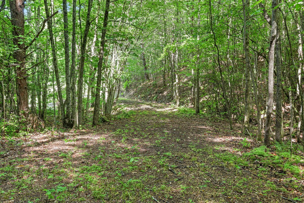 570 SUGARFORK RD