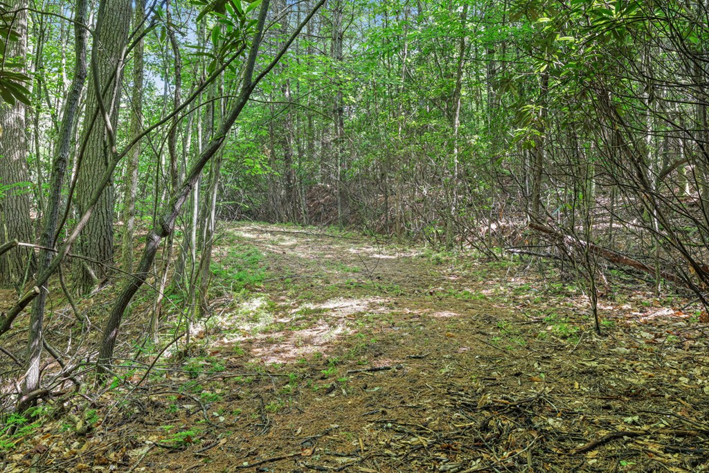 570 SUGARFORK RD