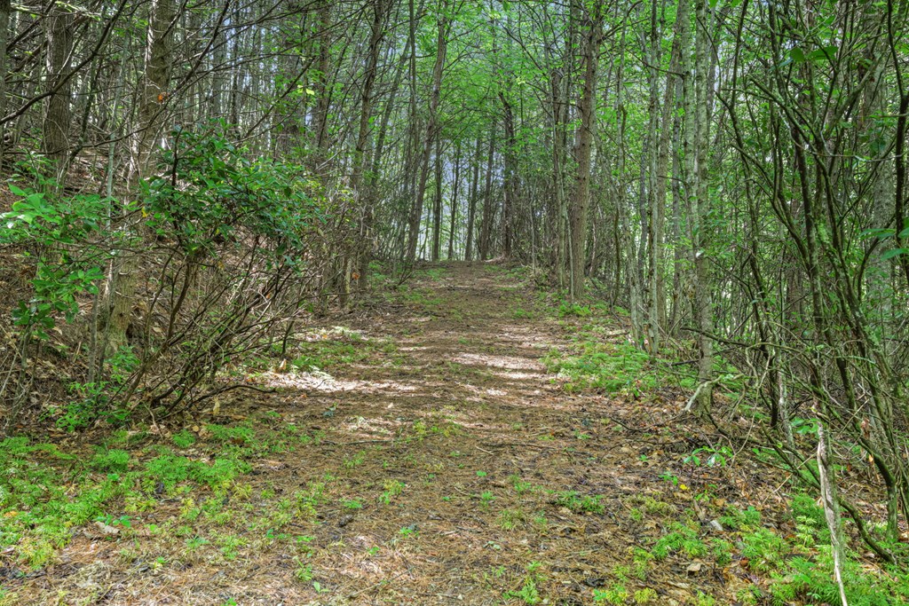 570 SUGARFORK RD