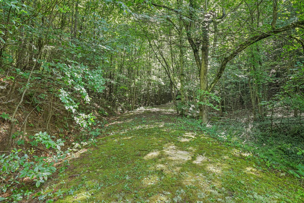 570 SUGARFORK RD