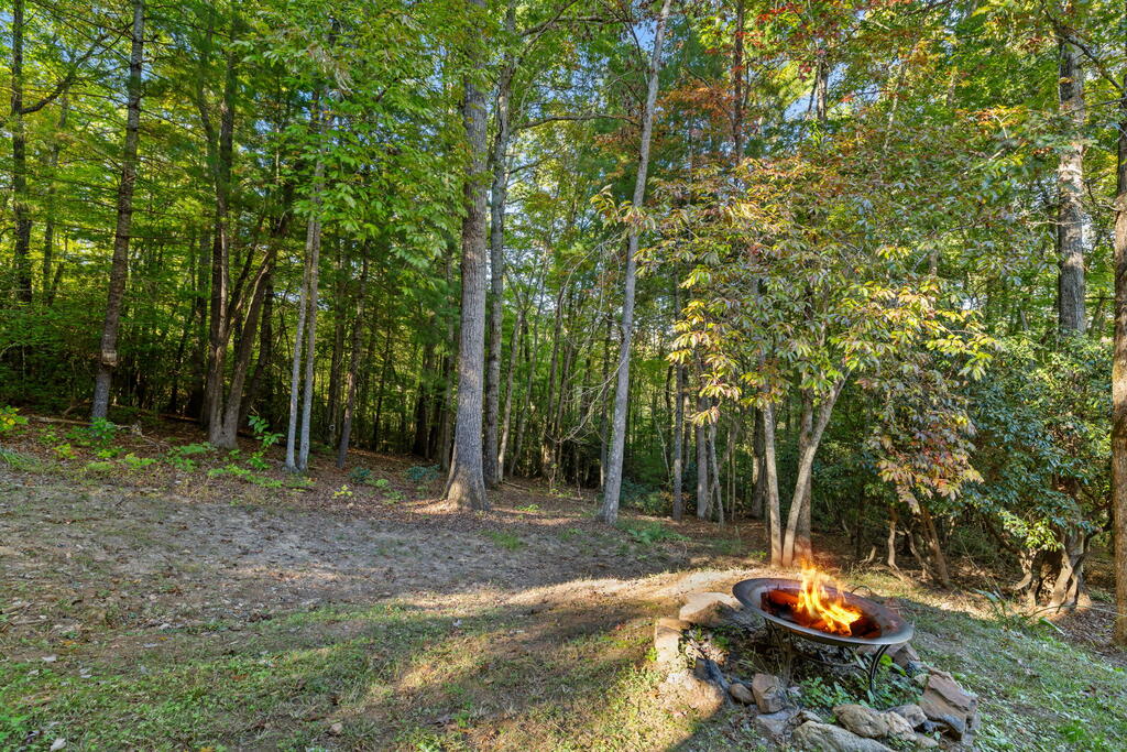 35 Buttercup Ln