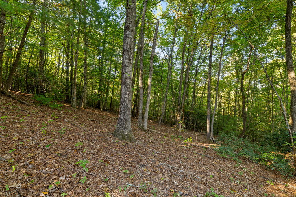 35 Buttercup Ln