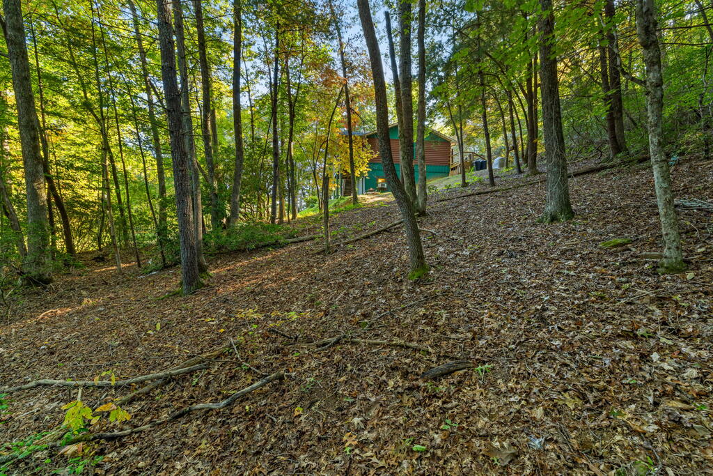 35 Buttercup Ln