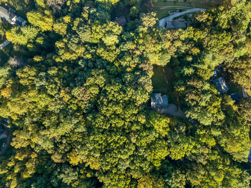 35 Buttercup Ln