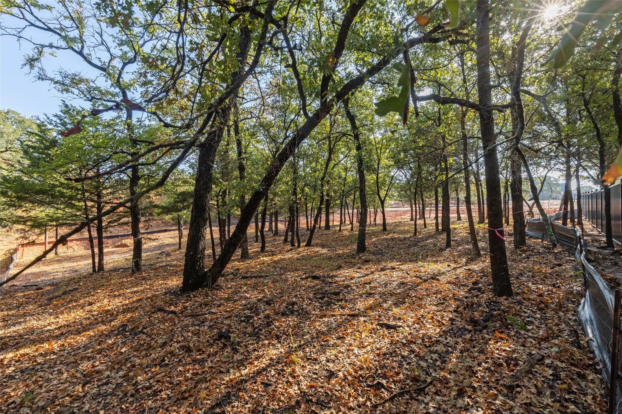 4600 Saddleback Lane