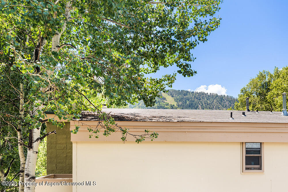 415 Park Circle, 5