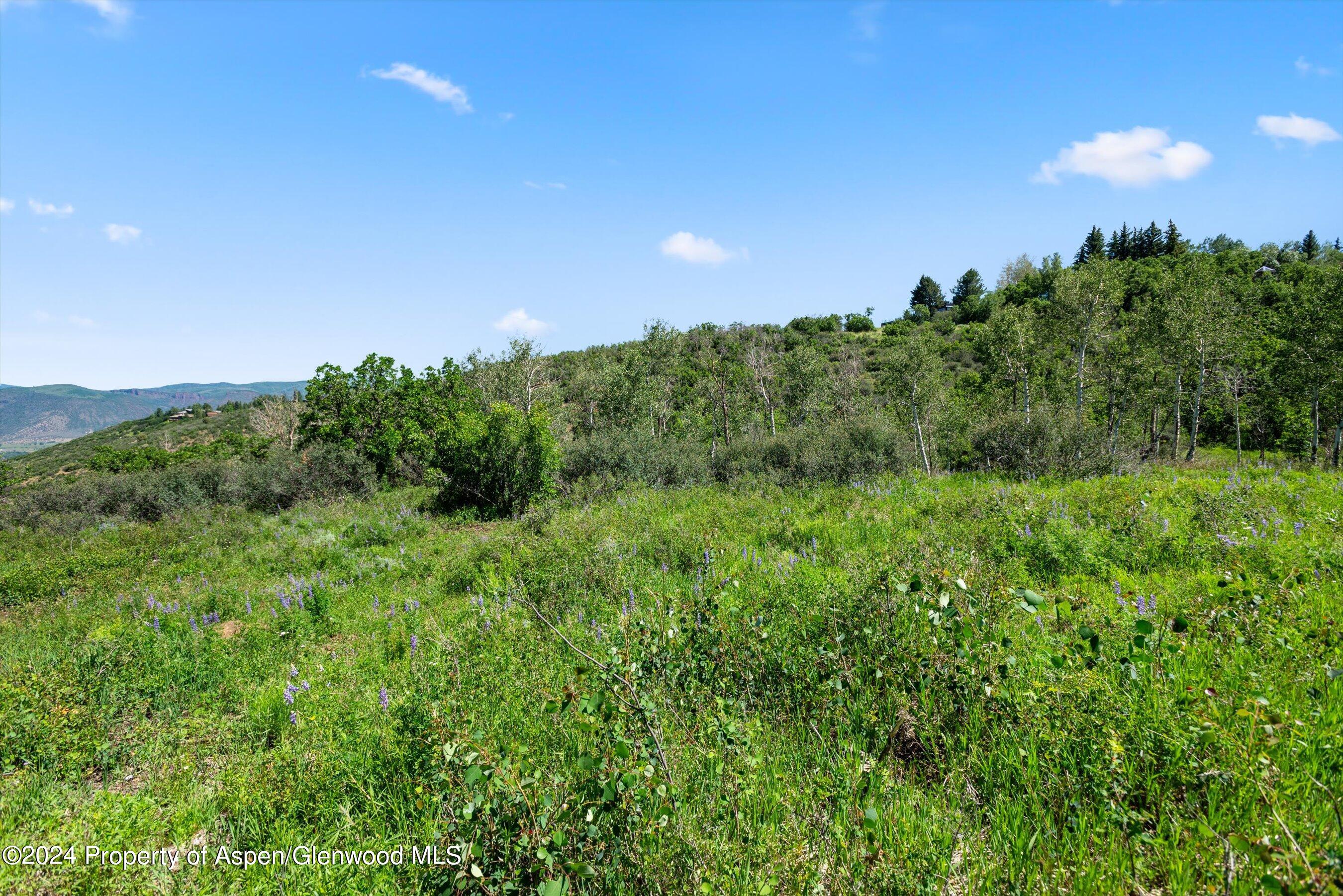 TBD Trentaz Drive