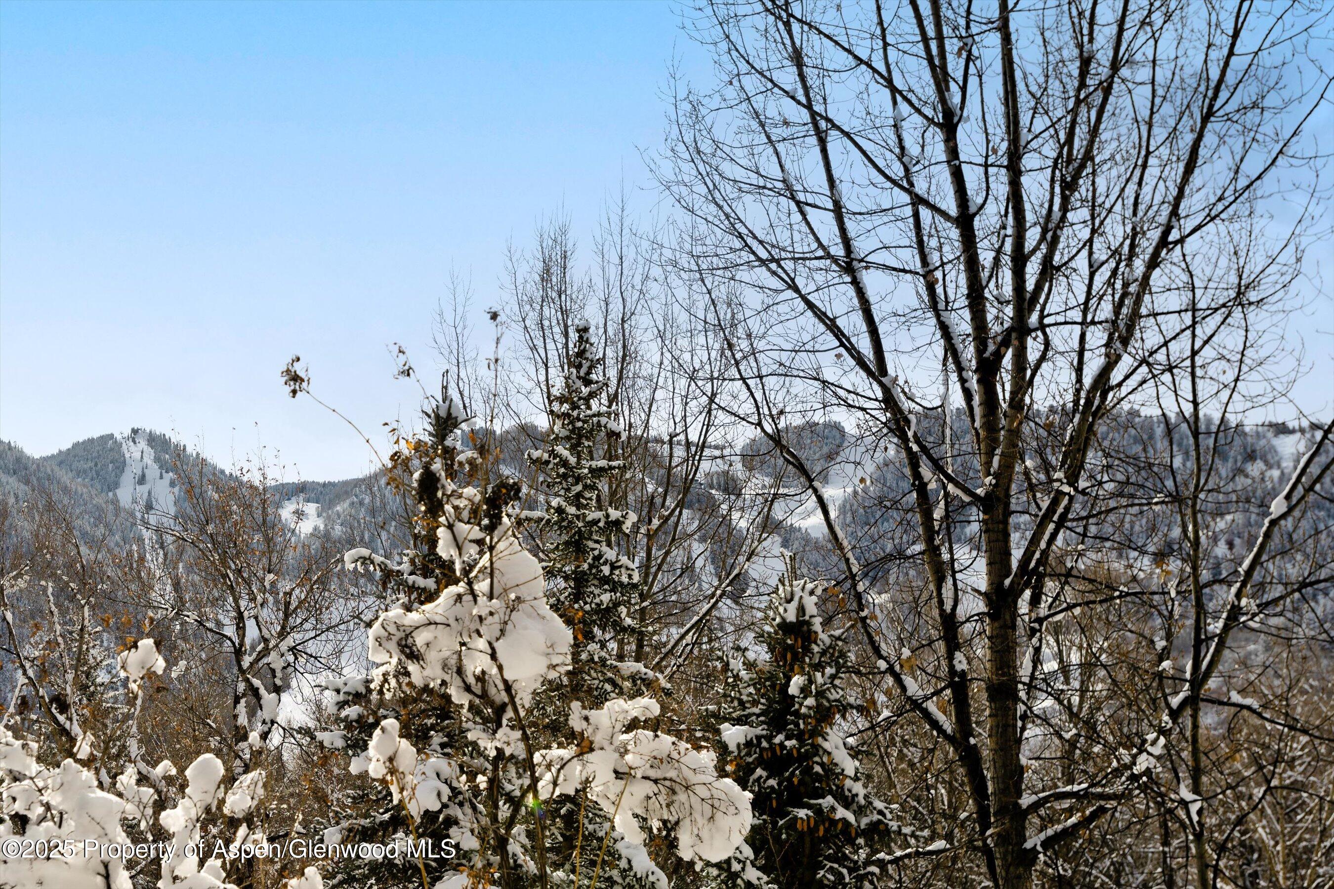 155 Lone Pine - River Bluff, #C2