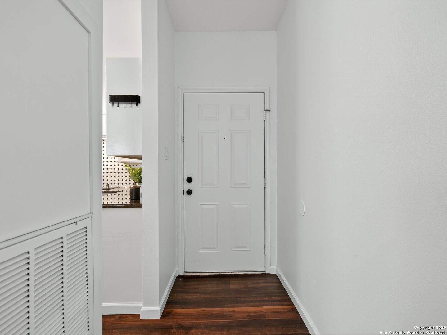 Apartment entry hall with a white paneled door and dark wood flooring.