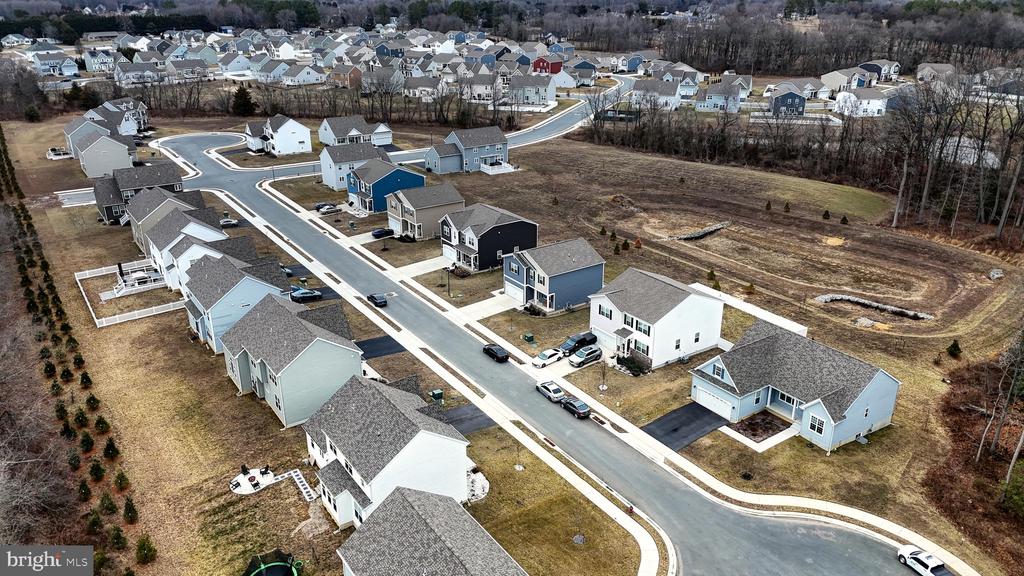103 Bunchberry Ct