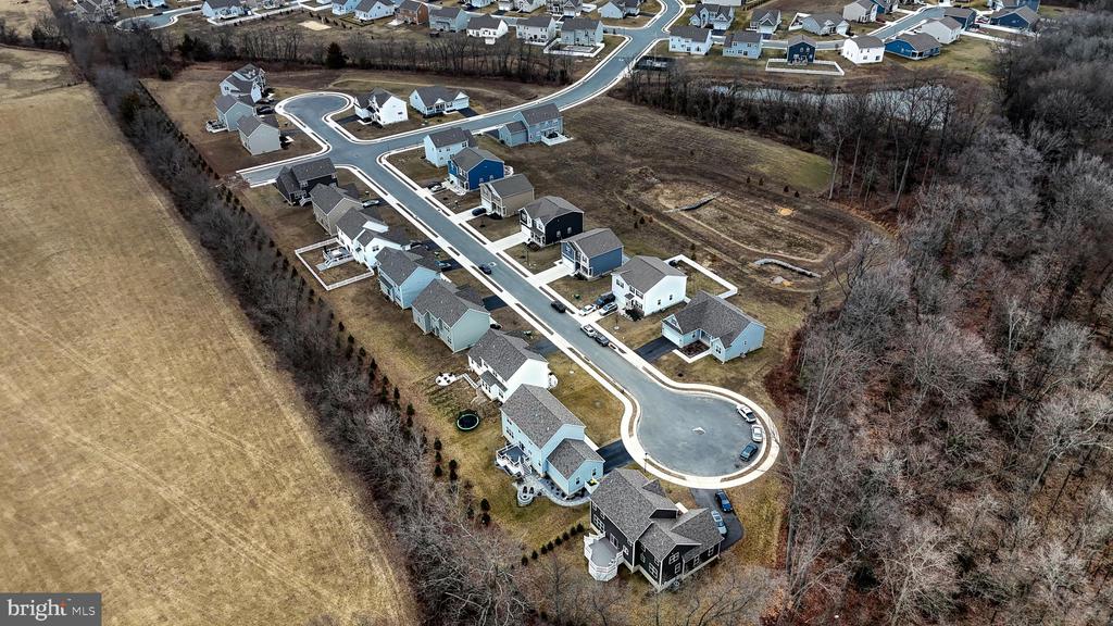 103 Bunchberry Ct