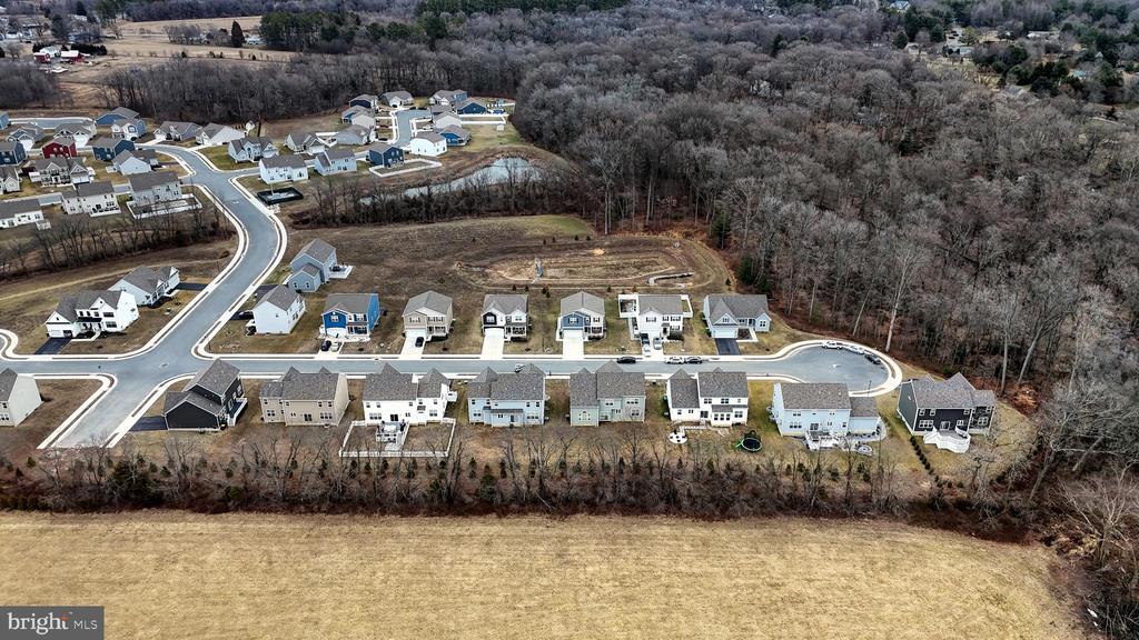 103 Bunchberry Ct