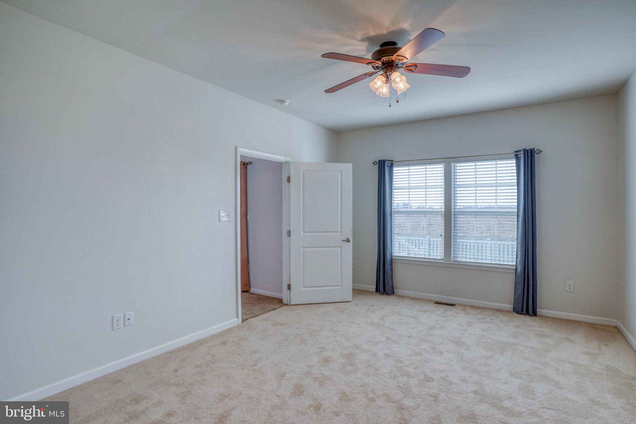 77 CLIMBING VINE AVENUE