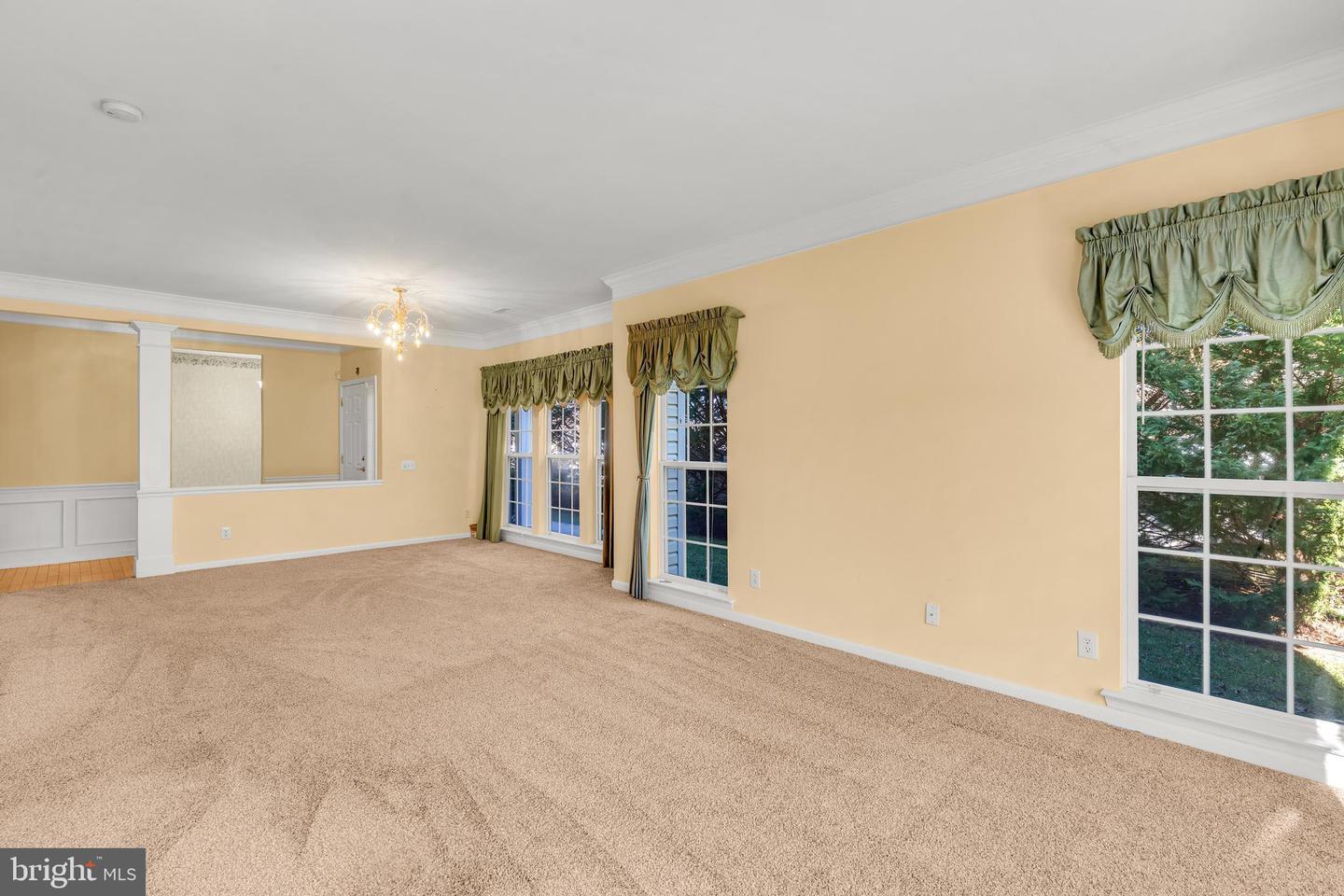 46 Jester St