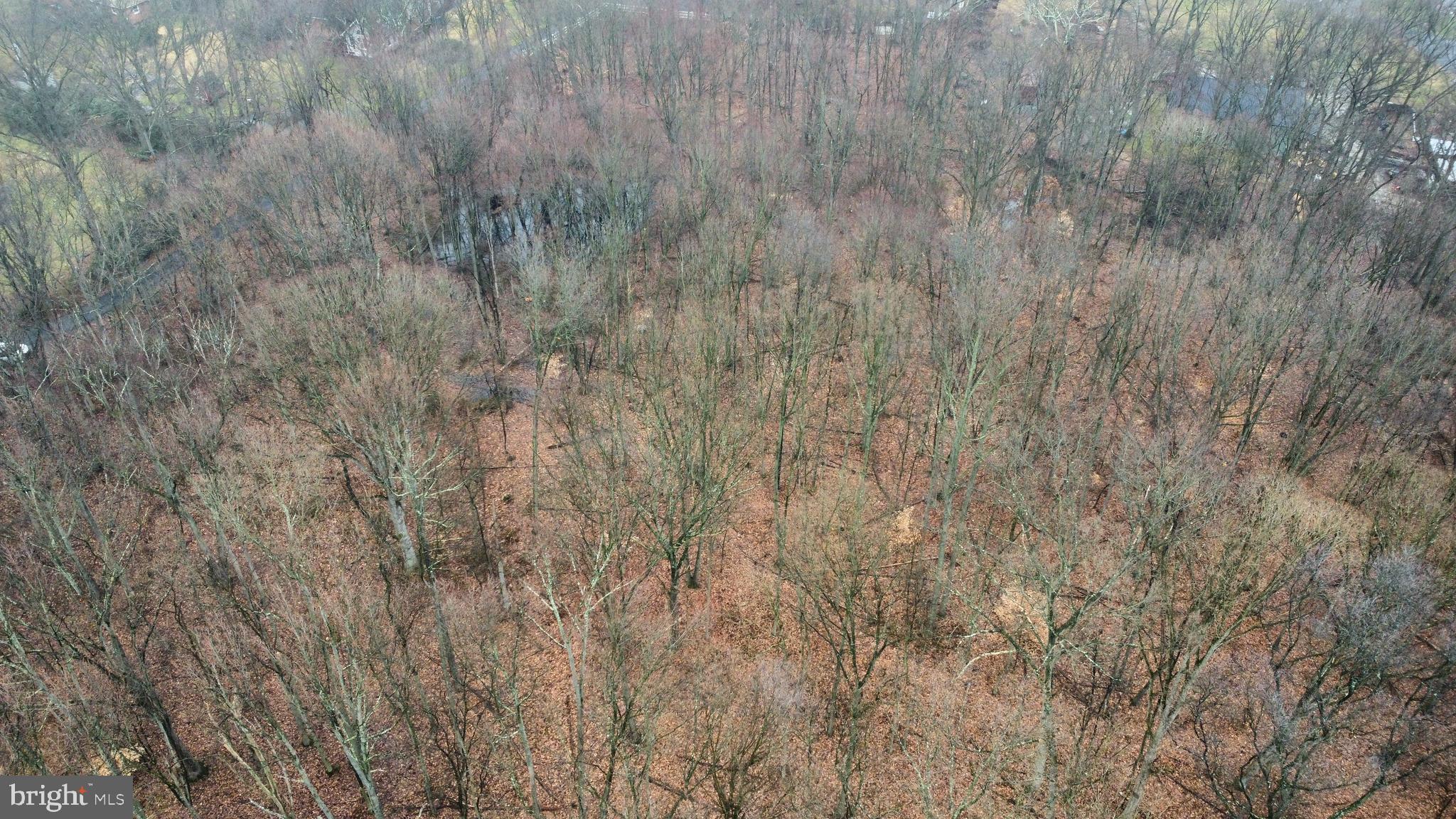 665 W Chestnut Hill Rd