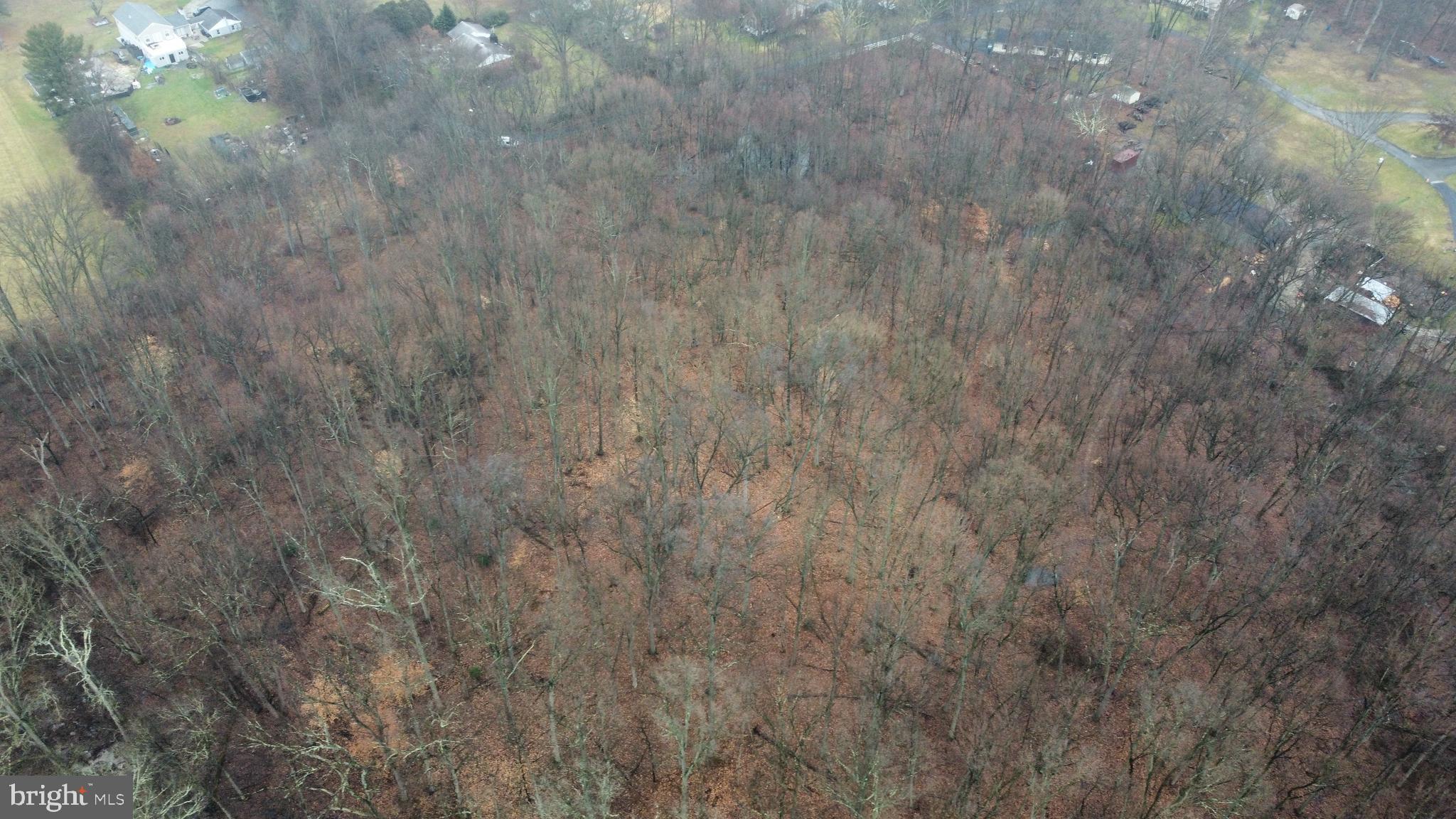 665 W Chestnut Hill Rd