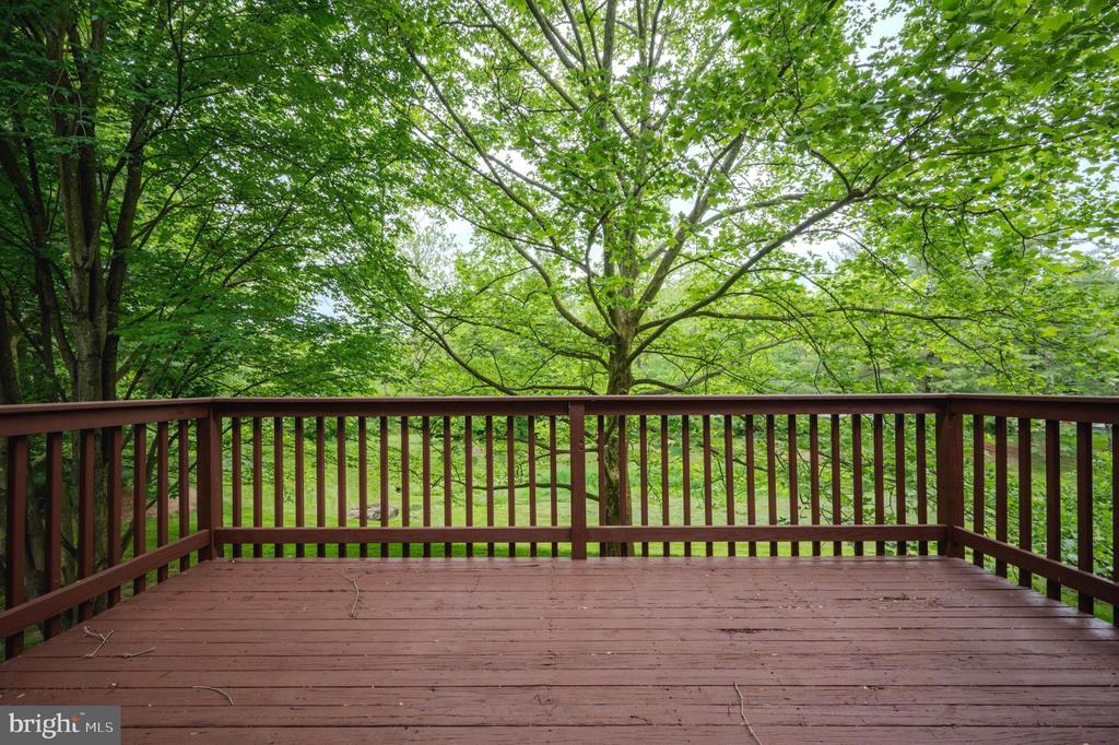 106 Briarcliff Ct