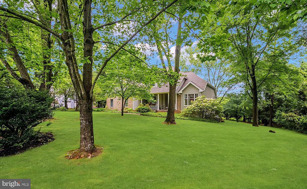 1020 White Birch Dr