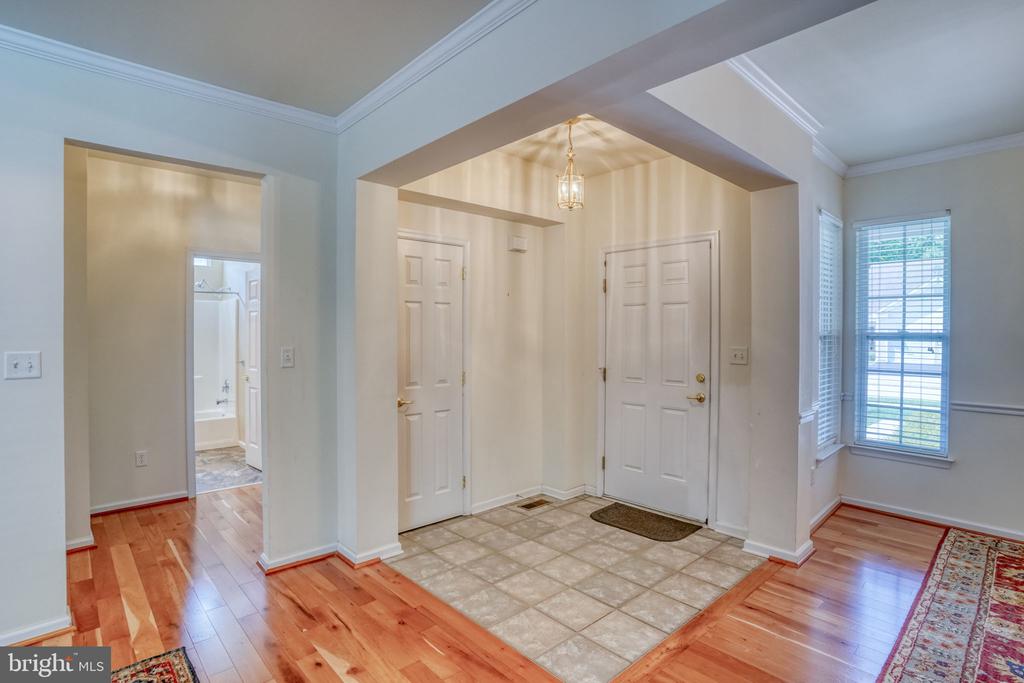 101 SPRINGMILL DRIVE