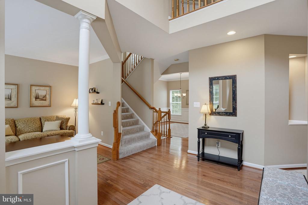 2809 VIDERE DRIVE