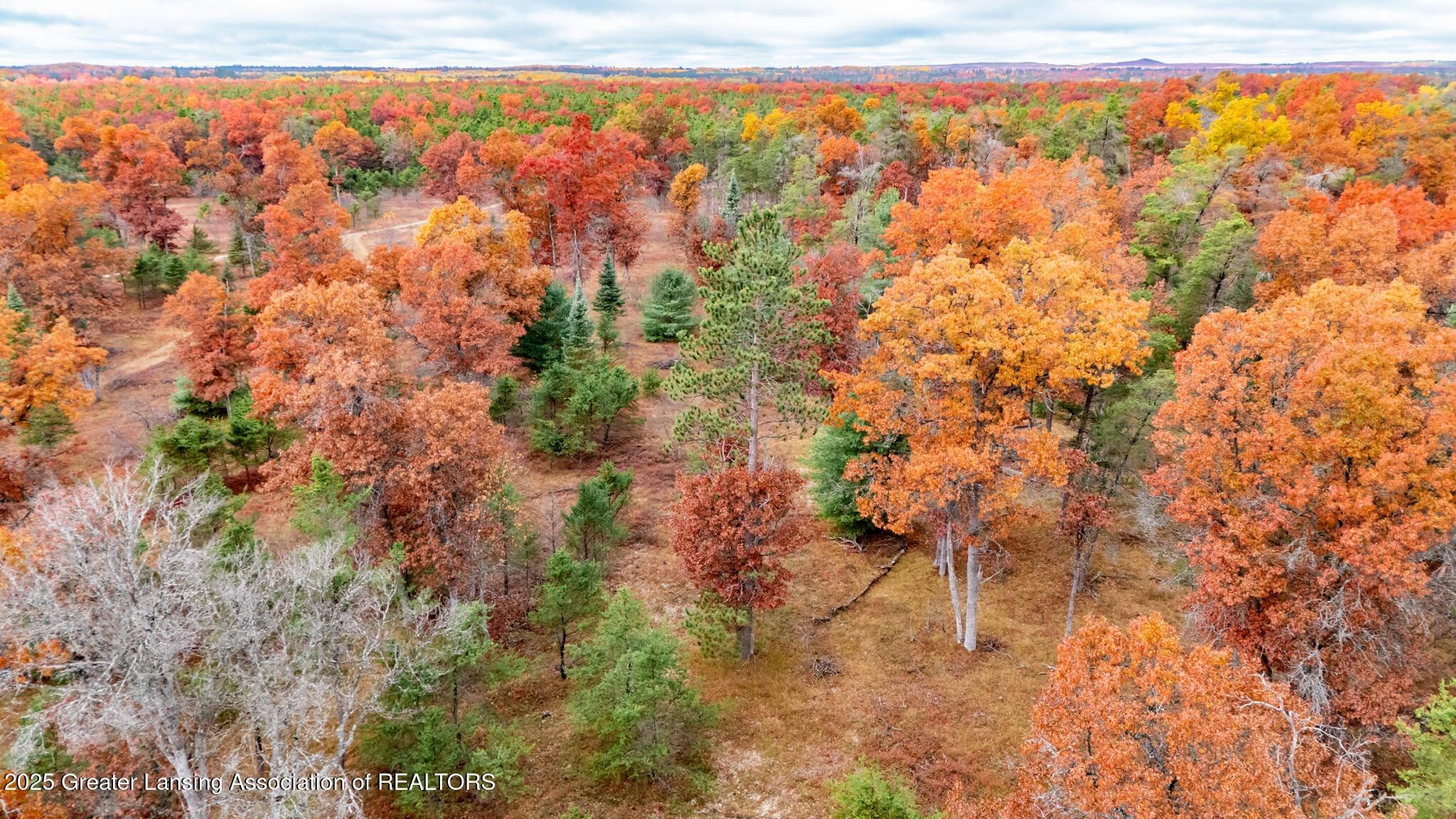 000 N Mcmasters Bridge Road, Grayling