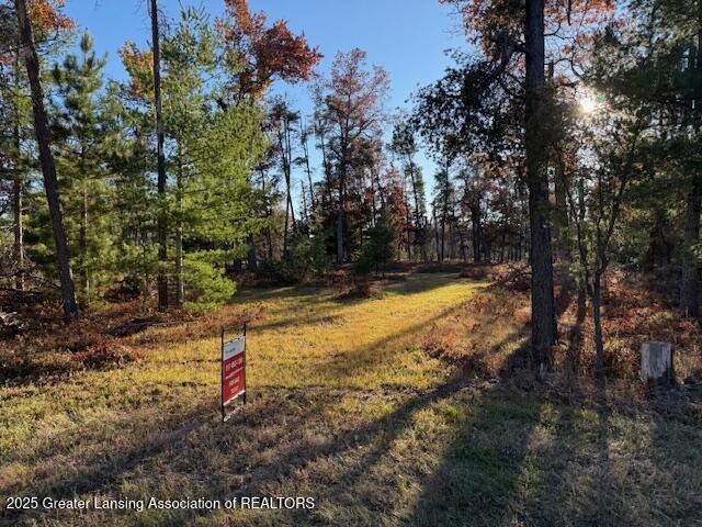 000 N Mcmasters Bridge Road, Grayling