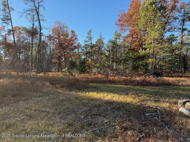 000 N Mcmasters Bridge Road, Grayling