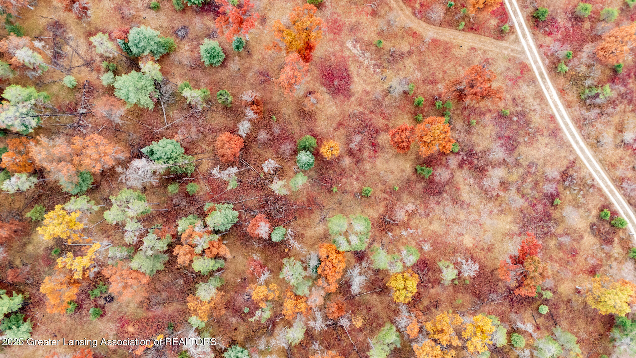 000 N Mcmasters Bridge Road, Grayling