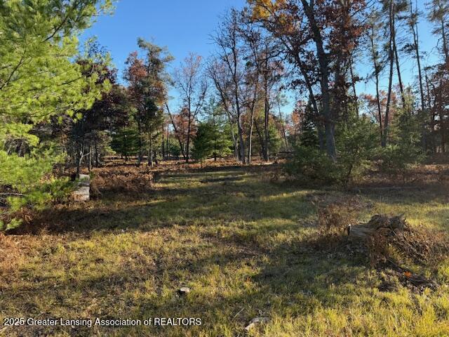 000 N Mcmasters Bridge Road, Grayling