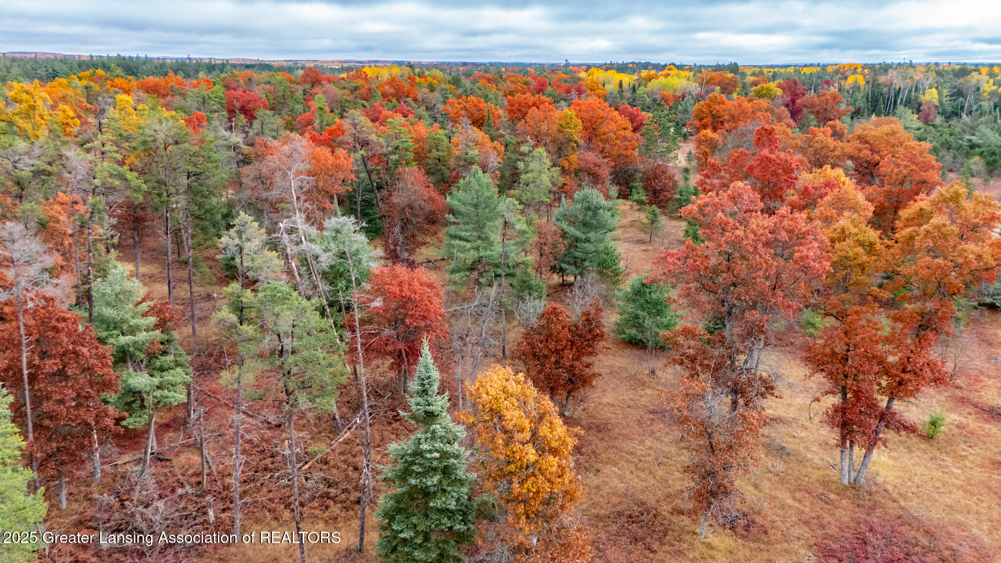000 N Mcmasters Bridge Road, Grayling