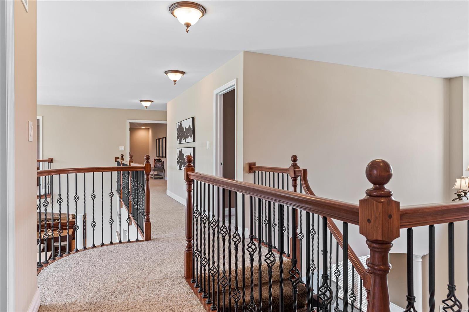 203 Irish Hound Drive