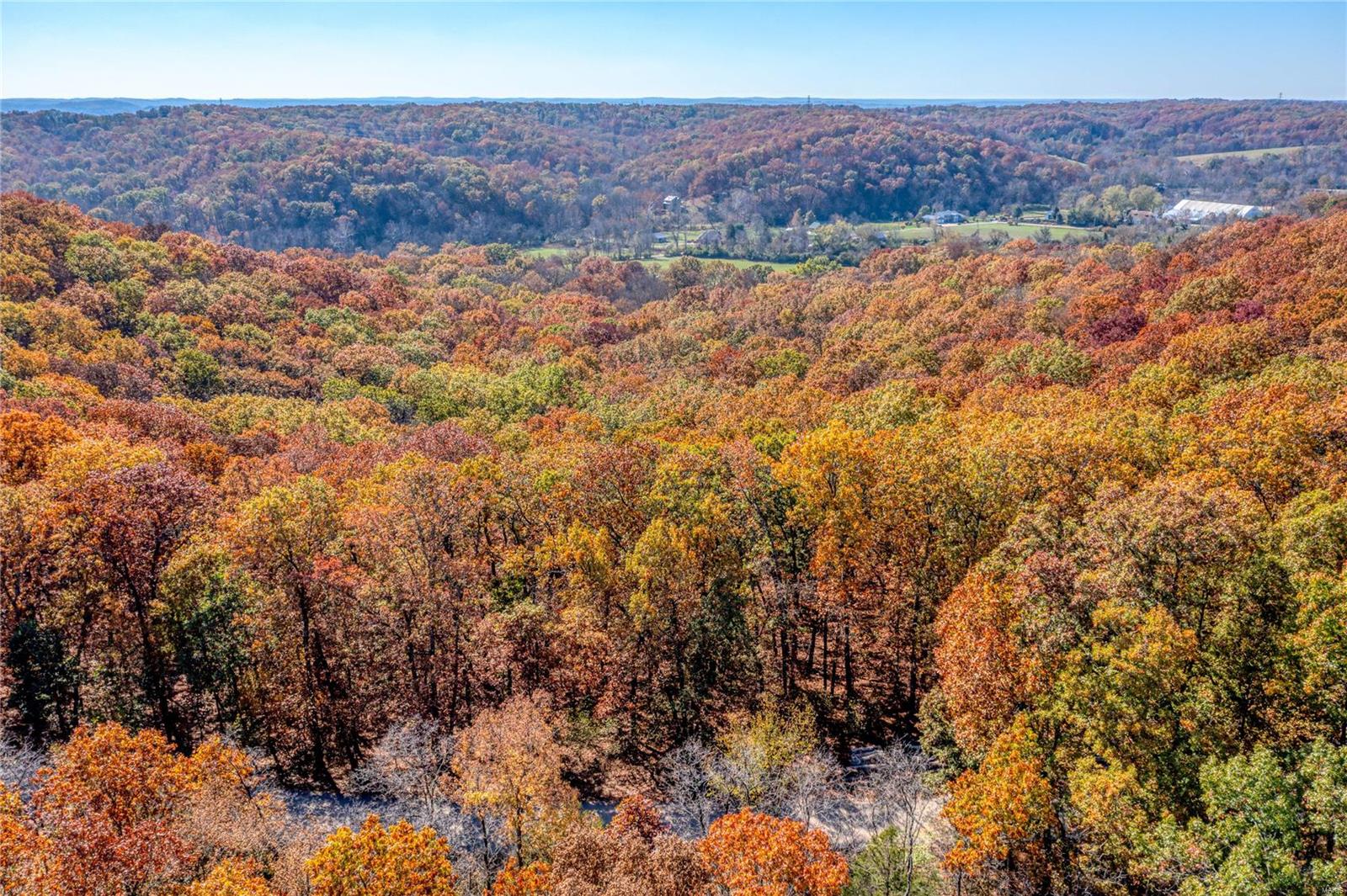 19024 Old Wild Turkey Lane