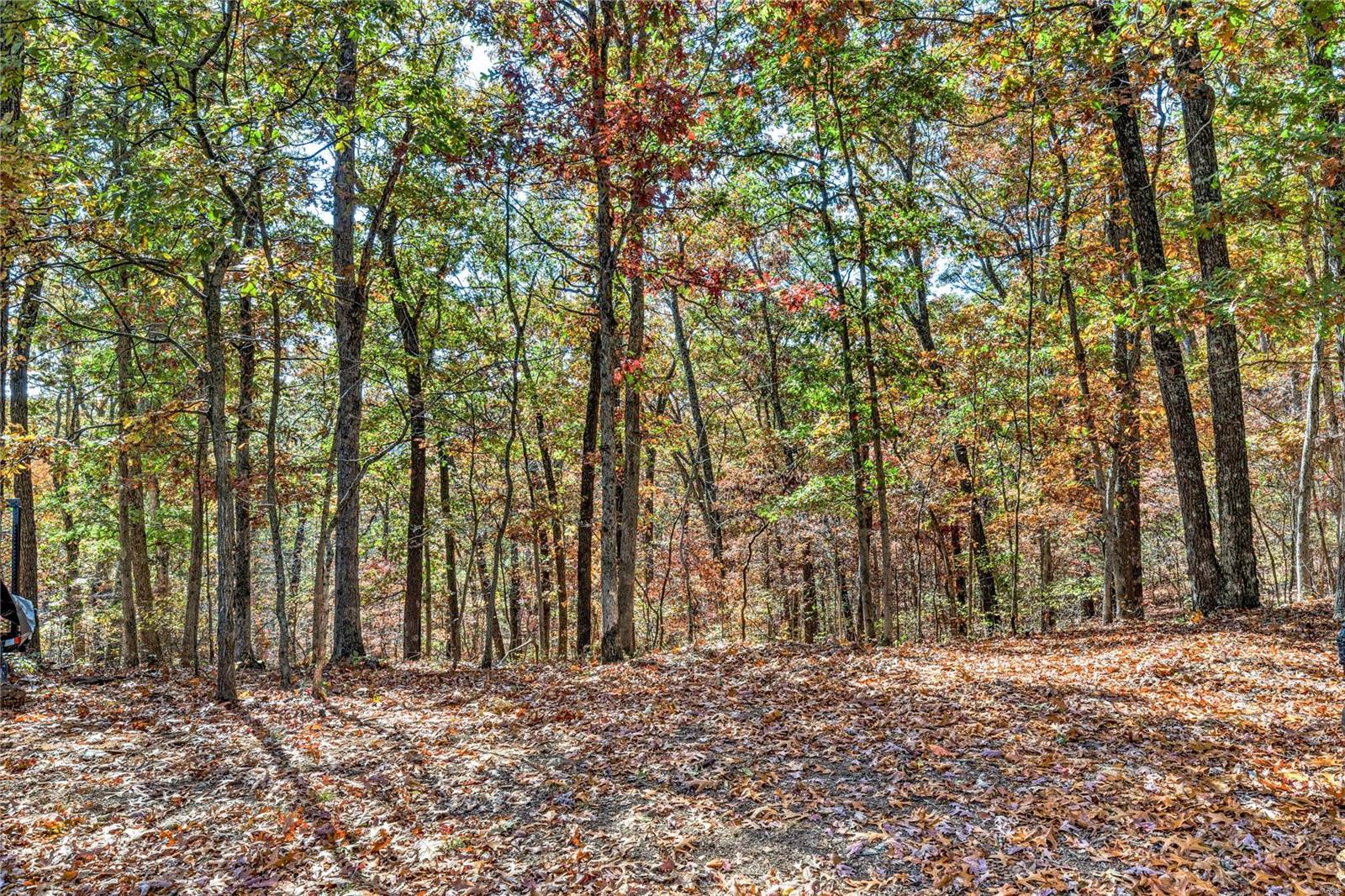 19024 Old Wild Turkey Lane