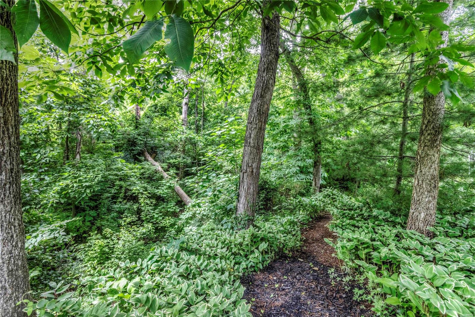 176 Woodland Place Court