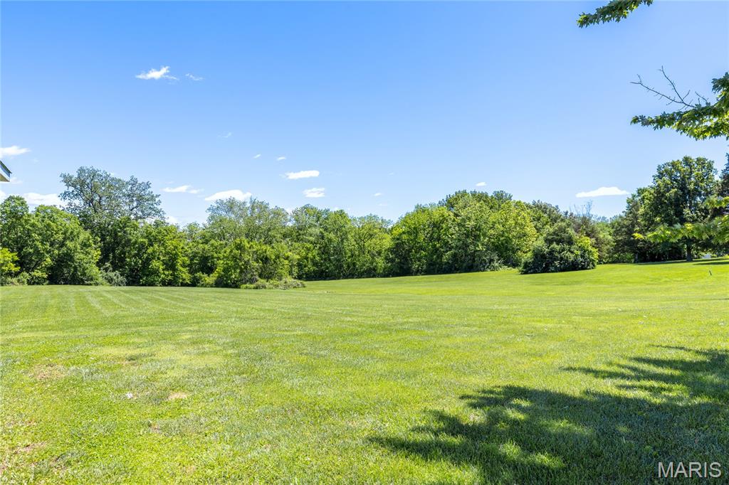 1054 Blue Wing Drive