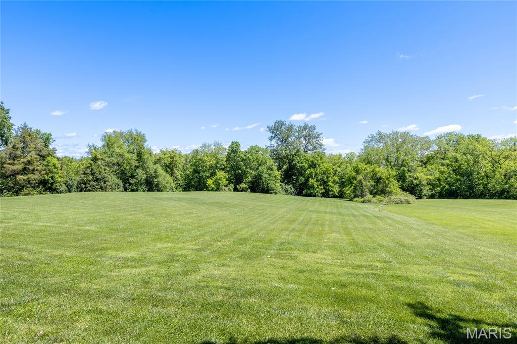 1054 Blue Wing Drive