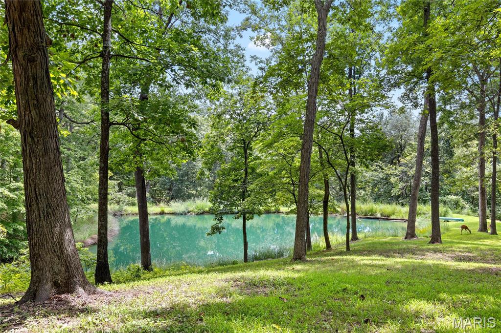 4 Upper Whitmoor Drive