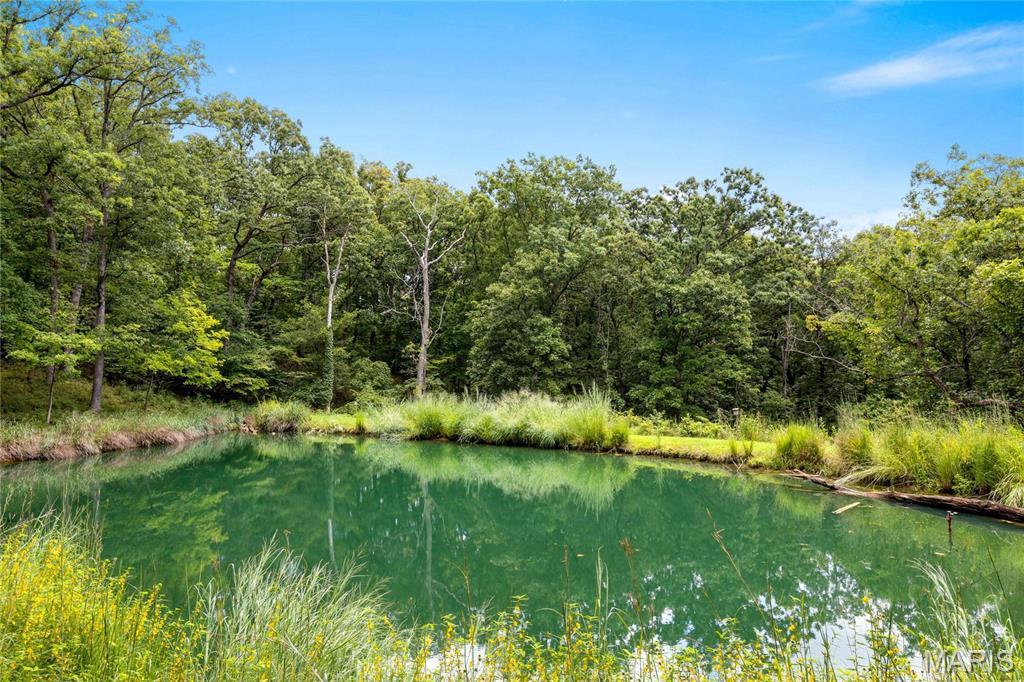 4 Upper Whitmoor Drive