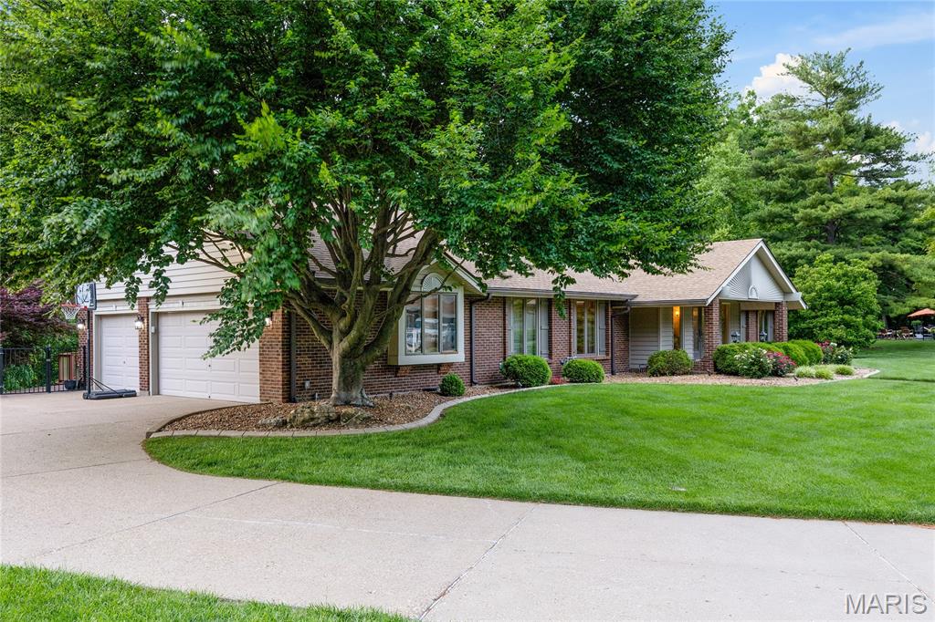 3736 Runnymede Drive