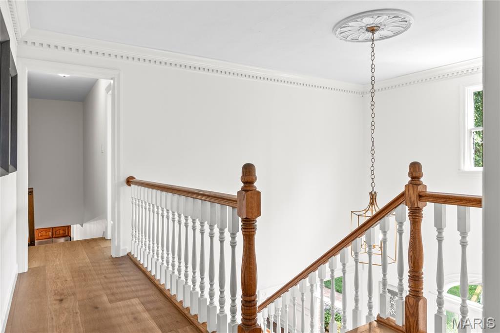2 Delvin Court